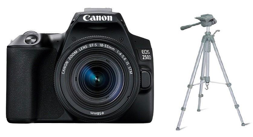 كانون كاميرا الاحترافية 24 ميجابيكسل (EOS250D) + هدية مجانية: حامل نينغبو، WT3520