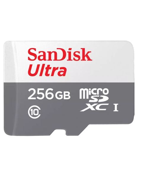 SanDisk Ultra microSDHC 256GB 100MB/s Class 10 UHS-I  (SDSQUNR-256G-GN3MN)